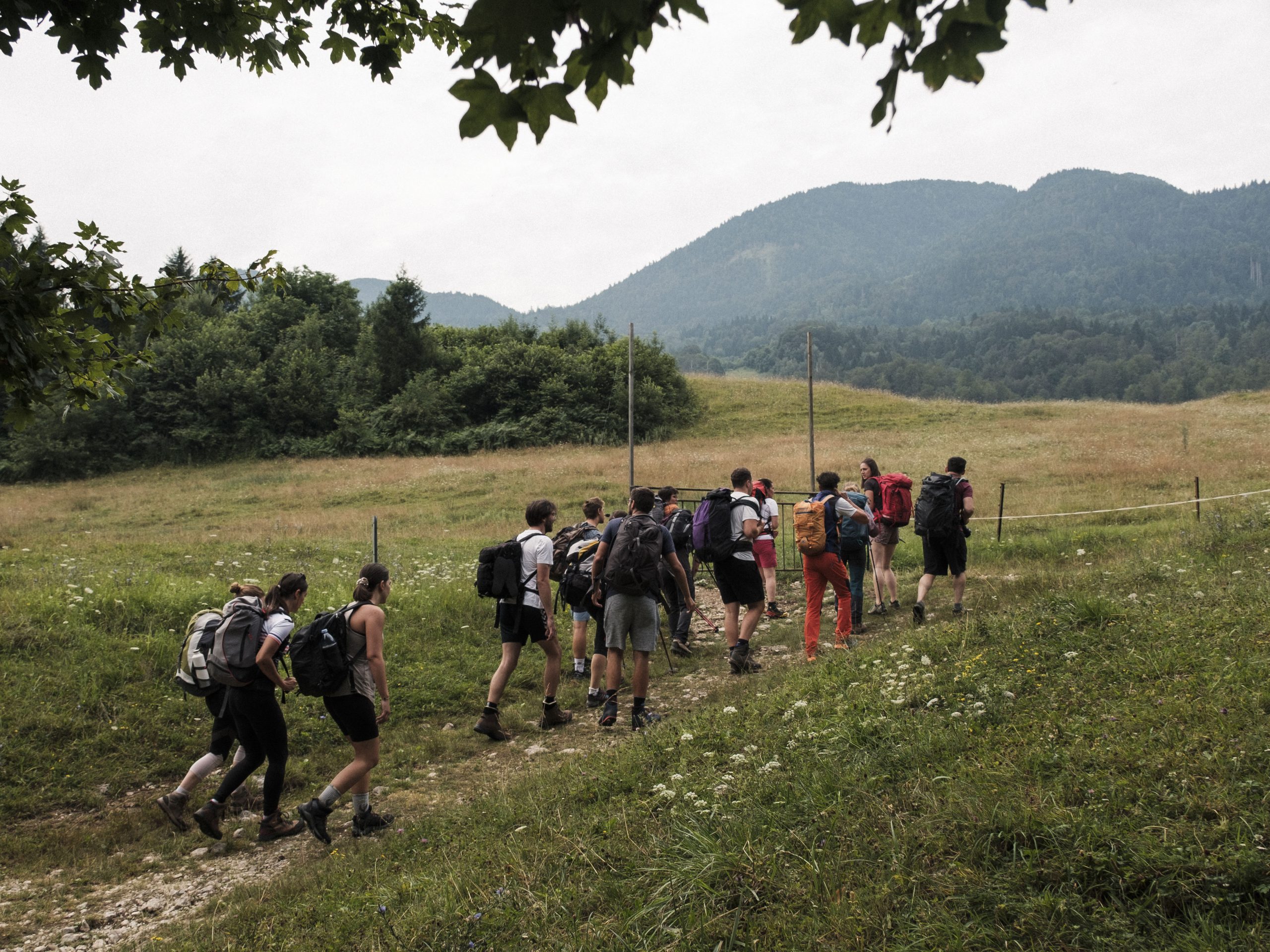 Gruppe junger Menschen auf einer Wanderung in den Bergen
